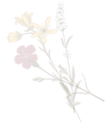 Flowers background